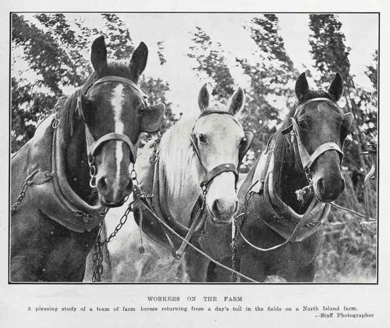 Image: Workers on the farm