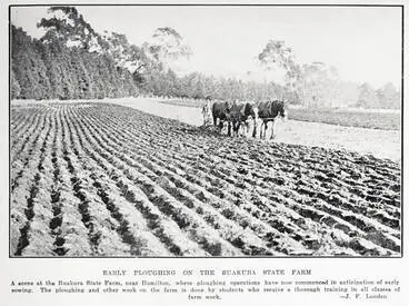 Image: Early ploughing on the Ruakura state farm