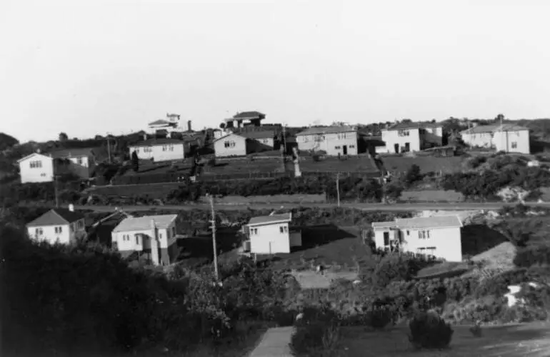 Image: Houses on Beach Road, viewed from Castor Bay, 1950s