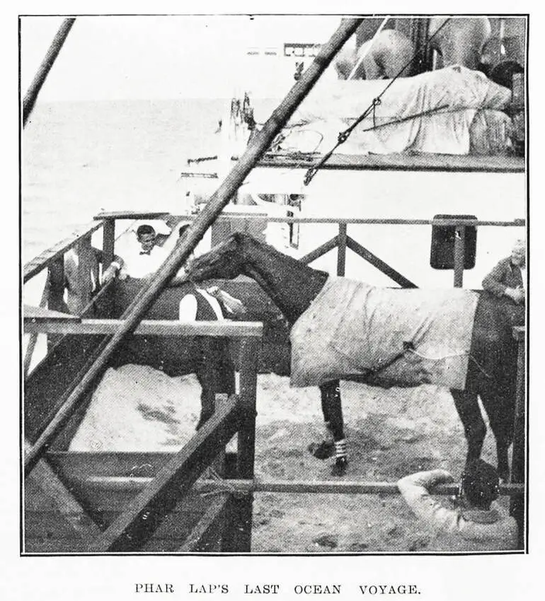 Image: Phar Lap's last ocean voyage