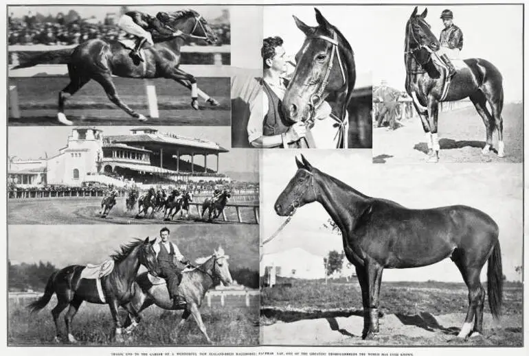 Image: Tragic and to the career of a wonderful New Zealand-bred racehorse: Phar Lap, one of the greatest thoroughbreds the world has ever known