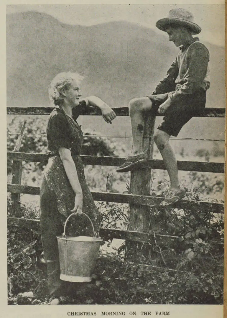 Image: Christmas morning on the farm: A picture at Inchbonnie, Westland