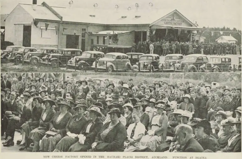 Image: New cheese factory opened in the Hauraki Plains District, Auckland: function at Ngatea