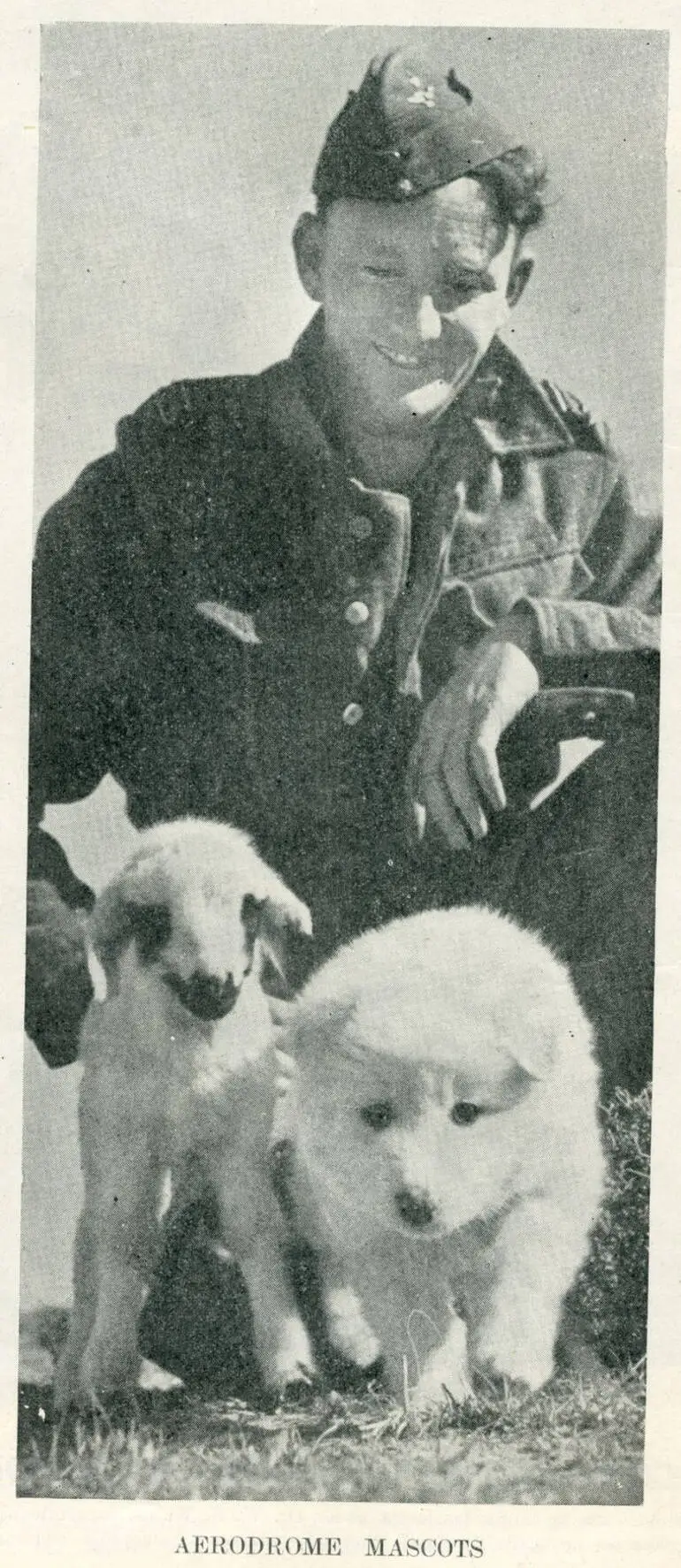 Image: Aerodrome mascots
