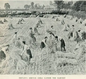 Image: Britain's service girls gather the harvest