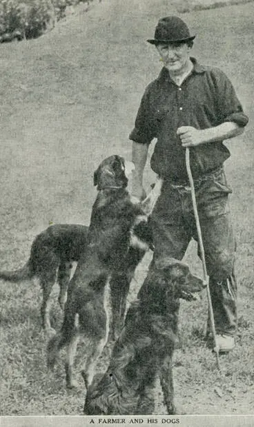 Image: A farmer and his dogs