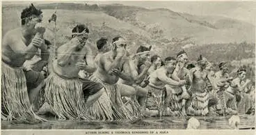 Image: Action during a vigorous rendering of a haka