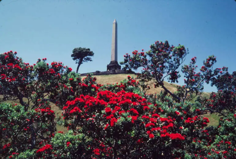 Image: One Tree Hill with Pohutukawa in bloom