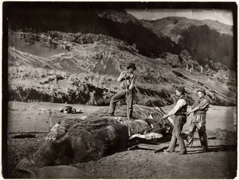 Image: Men working in a whaling station on a beach