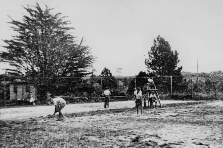 Image: Albany tennis courts.