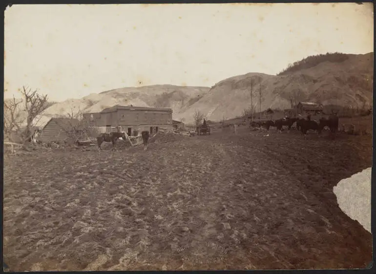 Image: McRae's Hotel at Te Wairoa after the eruption, 1886