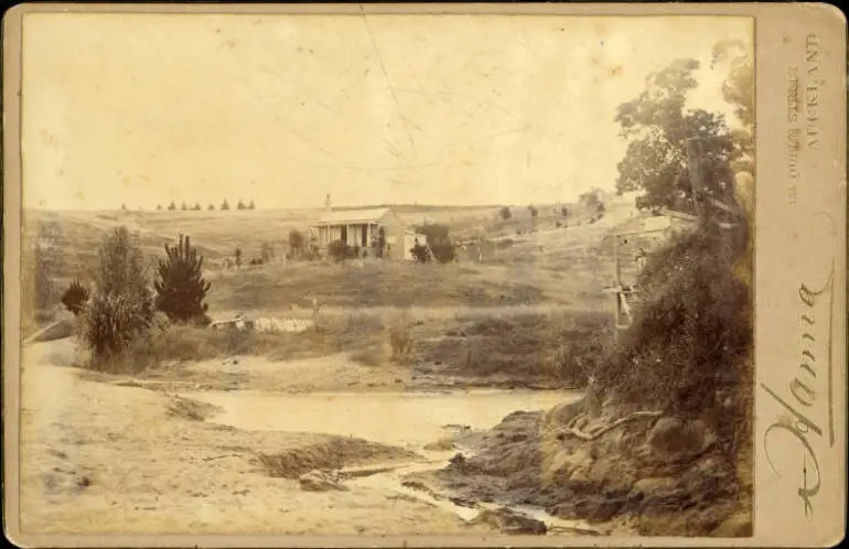 Image: Green's bach in Castor Bay.