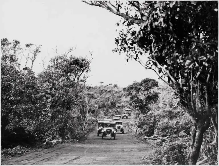 Image: Climbing to the top, Rangitoto Island, 1930