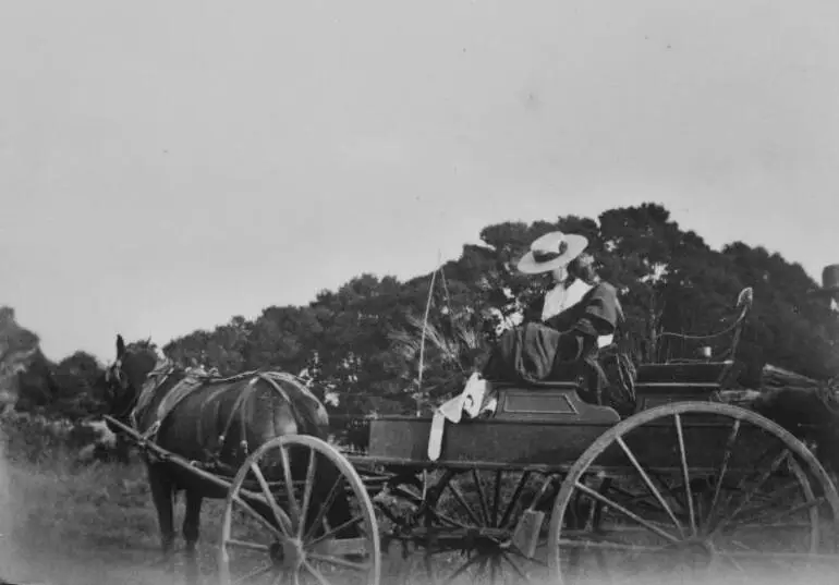 Image: Girl on a buggy, Māngere, ca 1905