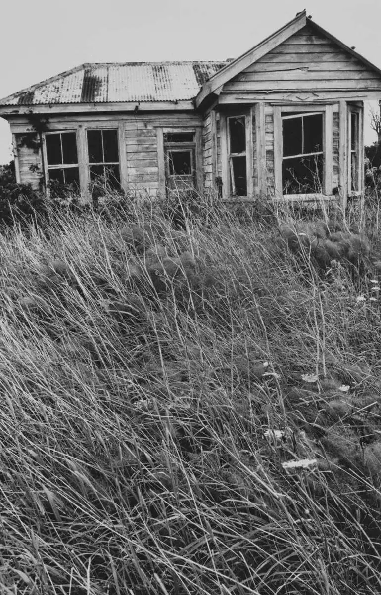Image: Abandoned house, Kohekohe, 1991.