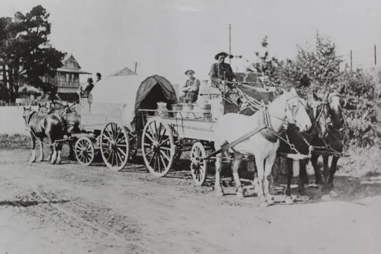 Image: Mattson's milk, Pakuranga, circa 1910