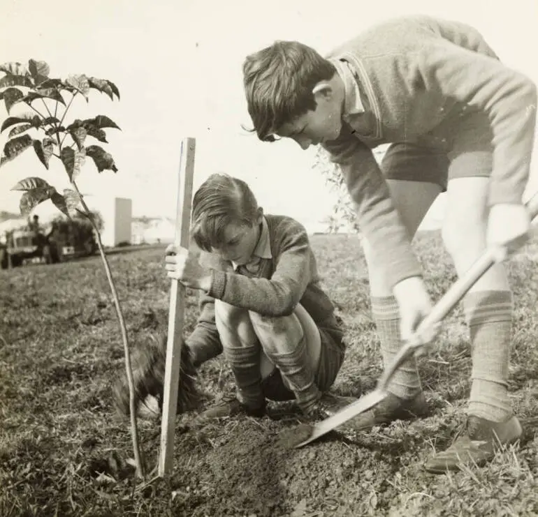 Image: Tree planting project, Ōtara, 1968