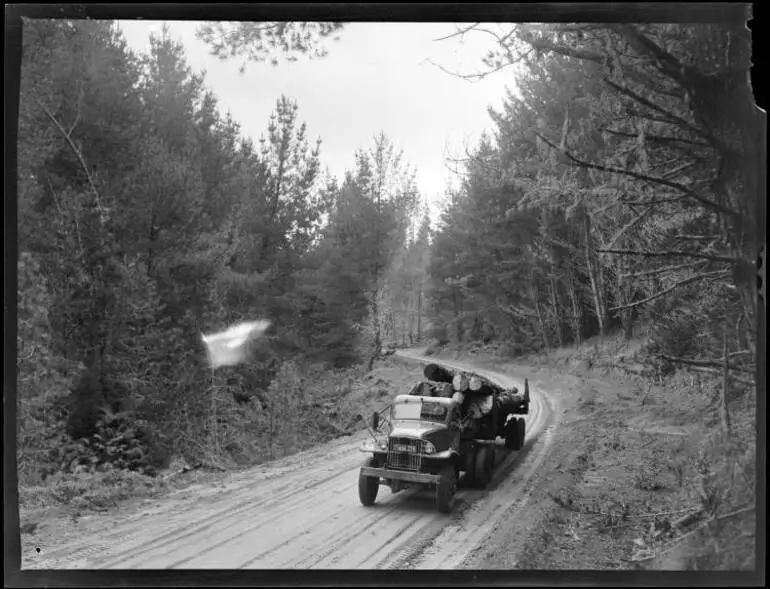 Image: Tokoroa Timber Industry, 1952