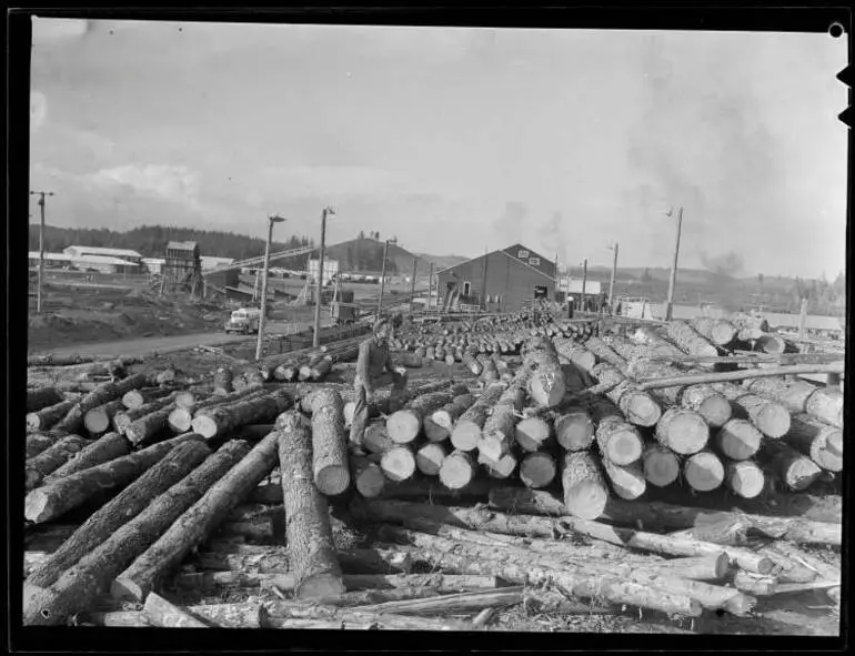 Image: Tokoroa Timber Industry, 1952