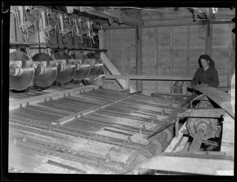 Image: Tokoroa Timber Industry, 1952
