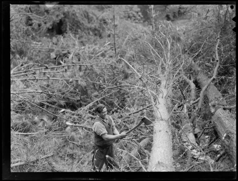 Image: Tokoroa Timber Industry, 1952