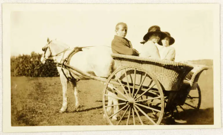 Image: 'Governess cart', Papatoetoe, ca 1920