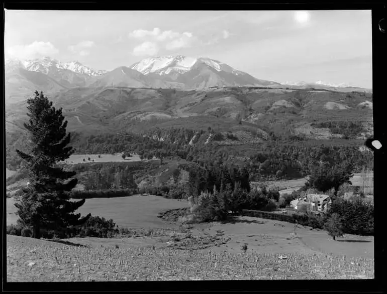 Image: Sherwood Station, Waiau, 1950