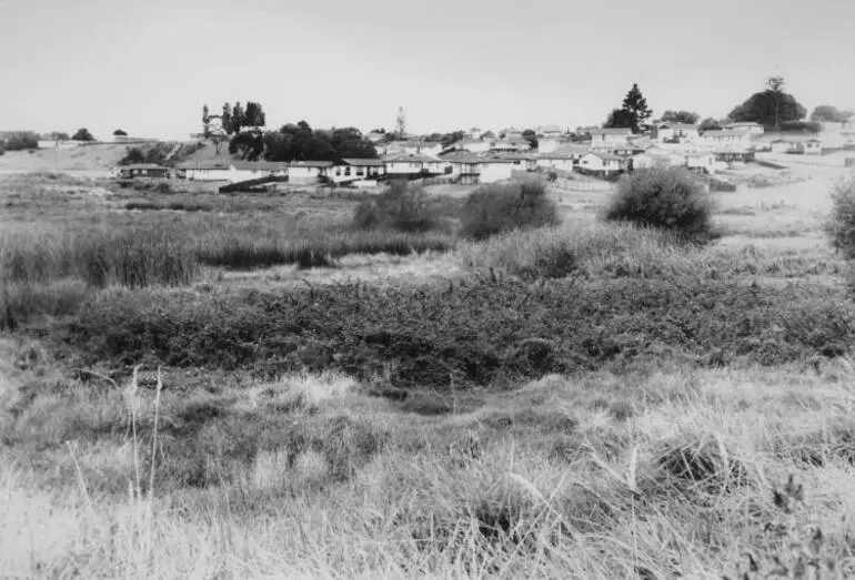 Image: Kohuora Crater, Papatoetoe, 1993.