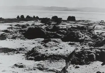 Image: Otuataua stonefields, Māngere, 1960s