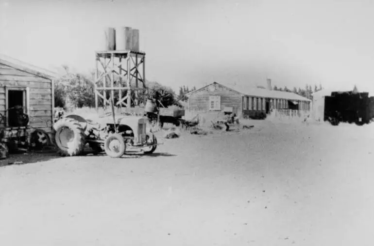 Image: Market garden, Māngere, 1956