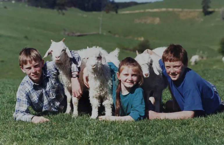 Image: Kids and goats, Clevedon, 1994.