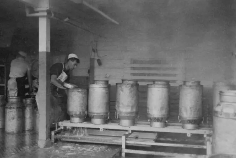 Image: Washing milk cans, East Tamaki cheese factory, 1950s