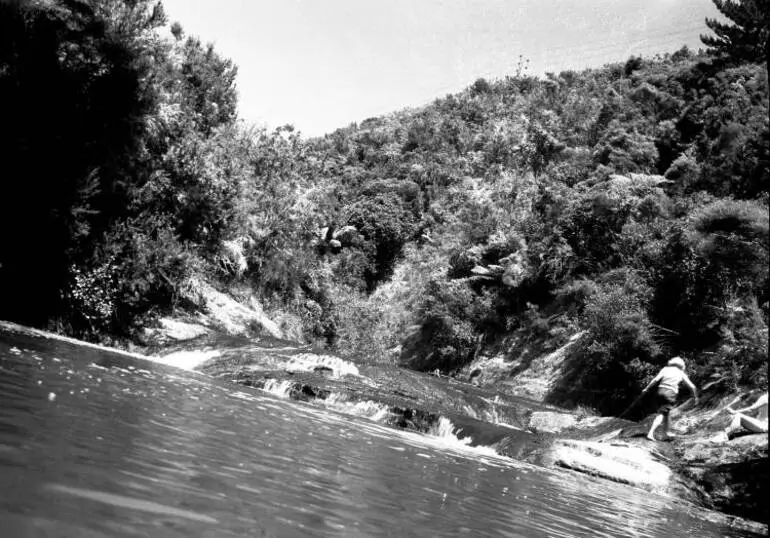 Image: Head tidal waters of Swanson's Creek.