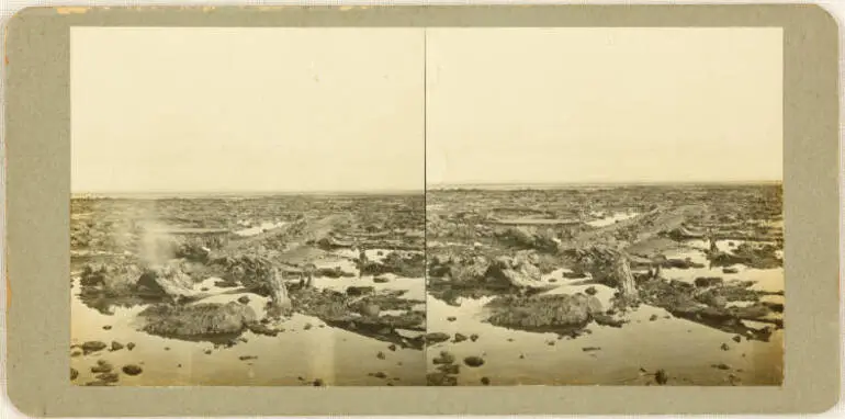 Image: Sunken kauri forest at Ihumatao, Māngere, 1923