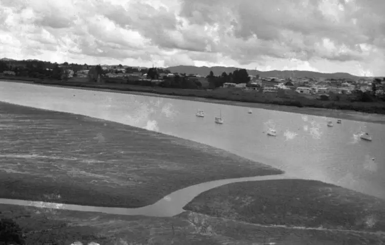 Image: Panorama of Whau Creek.