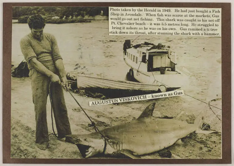 Image: Gus Viskovich and a shark on Point Chevalier Beach.