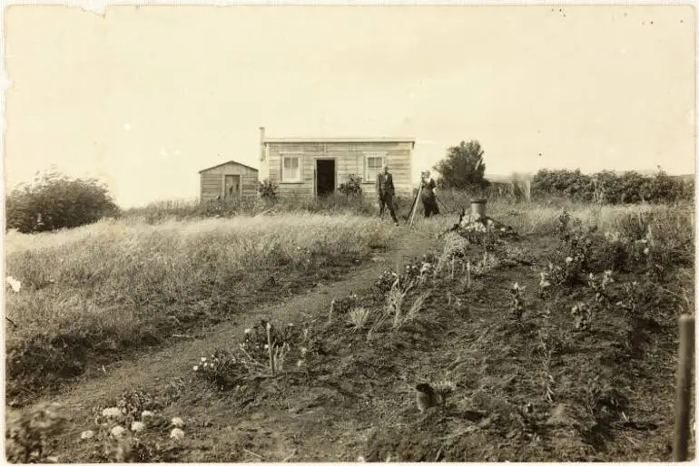Image: Springhall's house and garden, Swanson