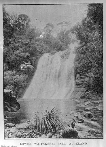 Image: Lower Waitakere Falls, Cascade Kauri Park.