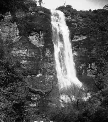 Image: Upper Waitakere Falls, Cascade Kauri Park.