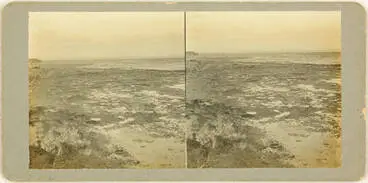 Image: Sunken kauri forest at Ihumatao, Māngere, 1923