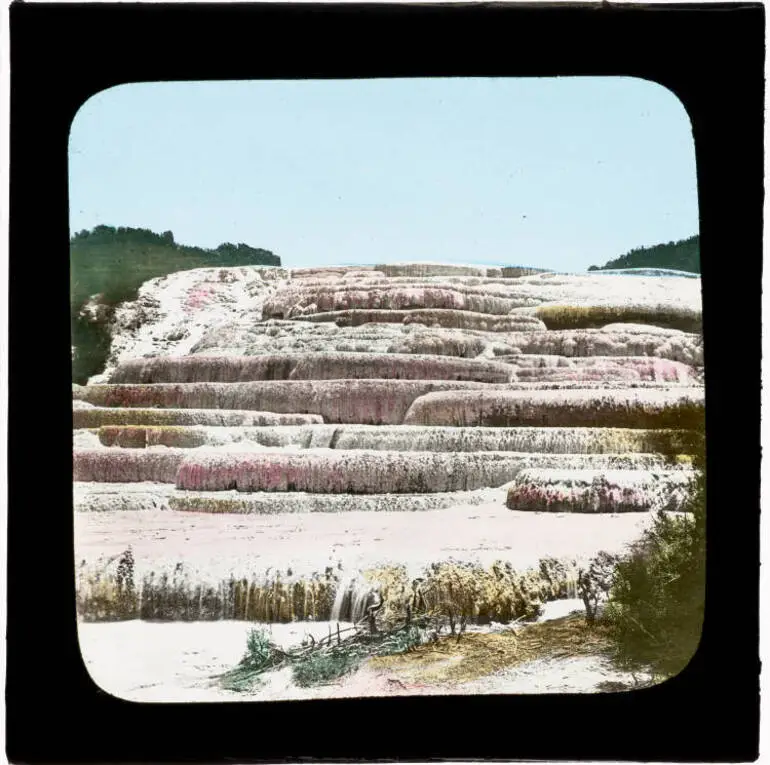 Image: Pink Terrace, Cold Water Basins, Lake Rotomahana