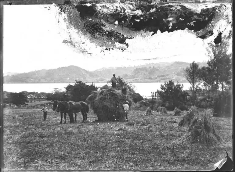 Image: Haymaking