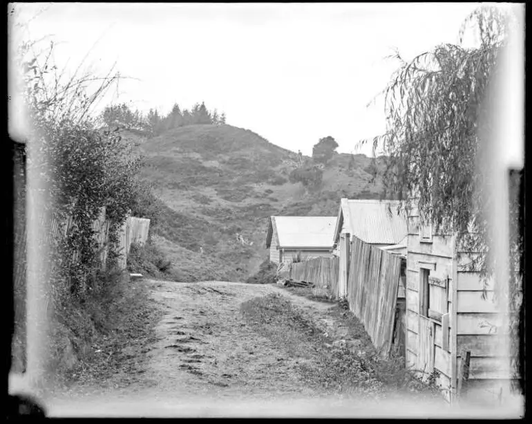 Image: Kohukohu street