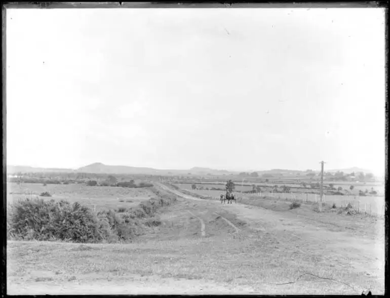 Image: View of 'Cabbage Tree Flats', Pakuranga, ca 1905