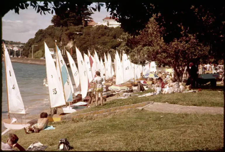 Image: P-Class yachts on Kohimarama Beach