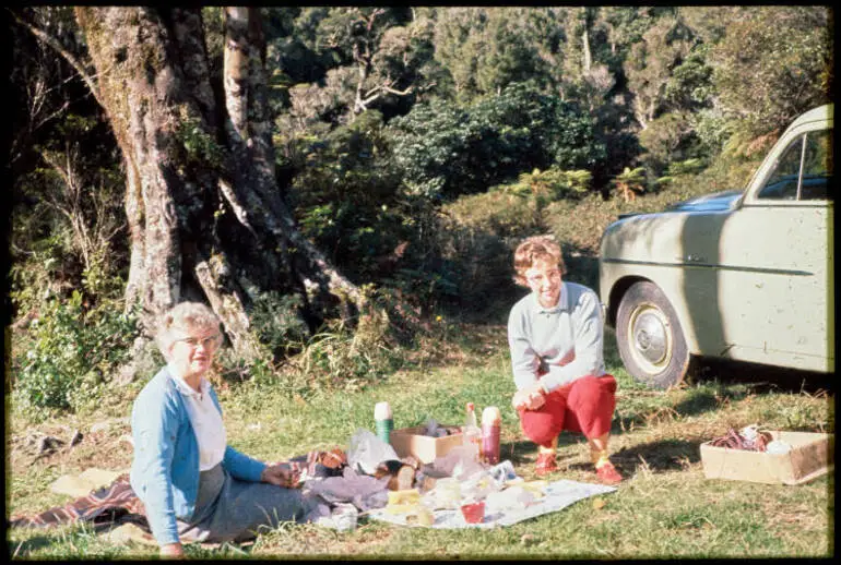 Image: Picnic in the Kaimai Range, 1962