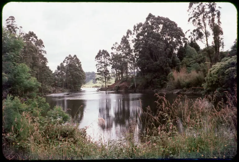 Image: Lake McLaren, 1962