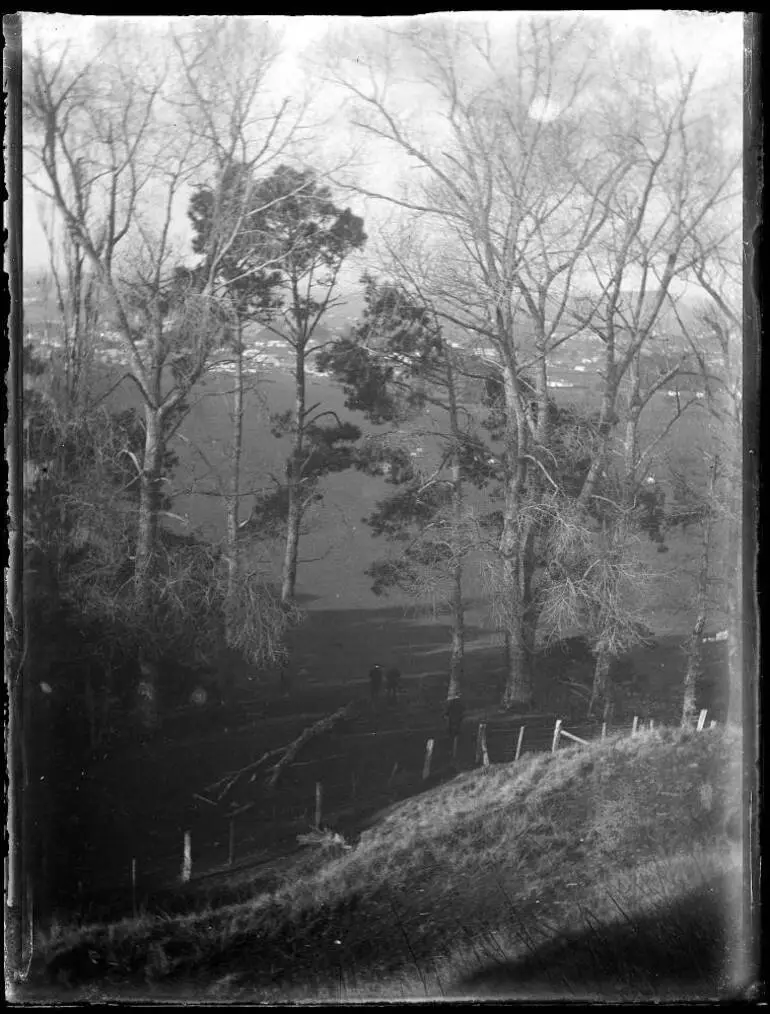 Image: View from One Tree Hill