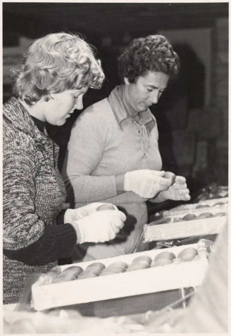 Image: Packing kiwifruit at Bombay, 1979