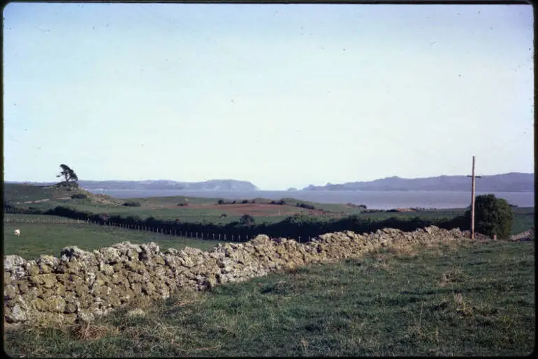 Image: Drystone walls, Māngere, 1965
